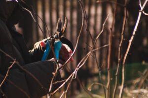 Tipps für Gartenarbeiten