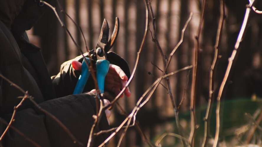 Tipps für Gartenarbeiten