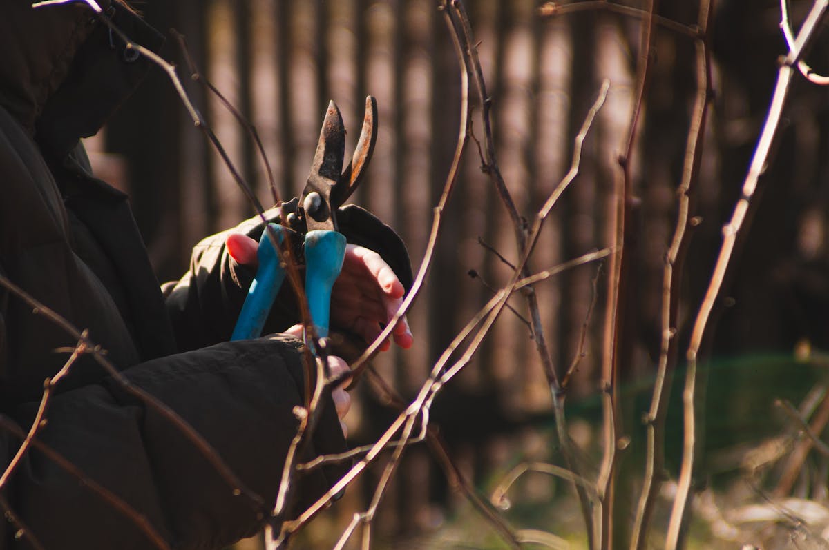 Tipps für Gartenarbeiten