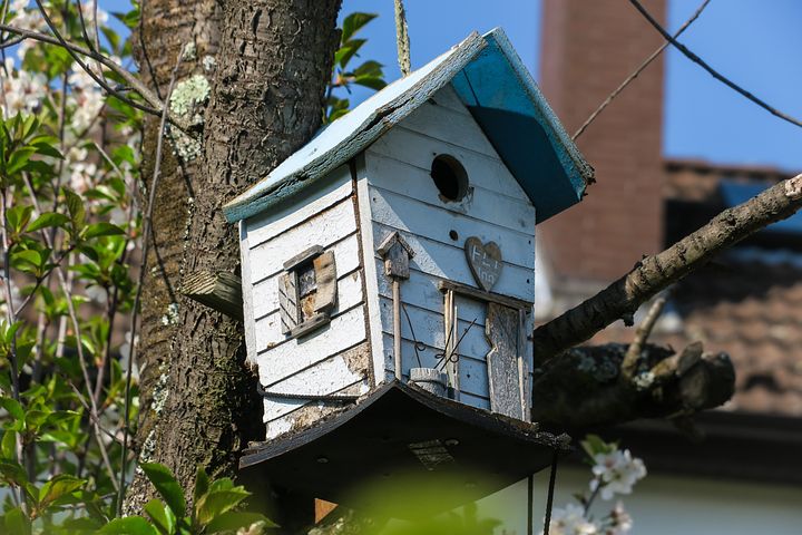 Vogelfutterhaus im Garten